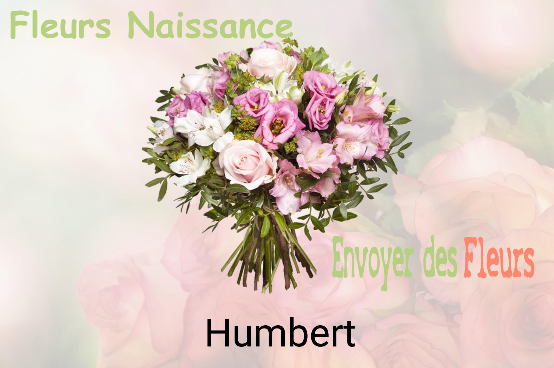 Bouquet de fleurs de naissance livré à Humbert
